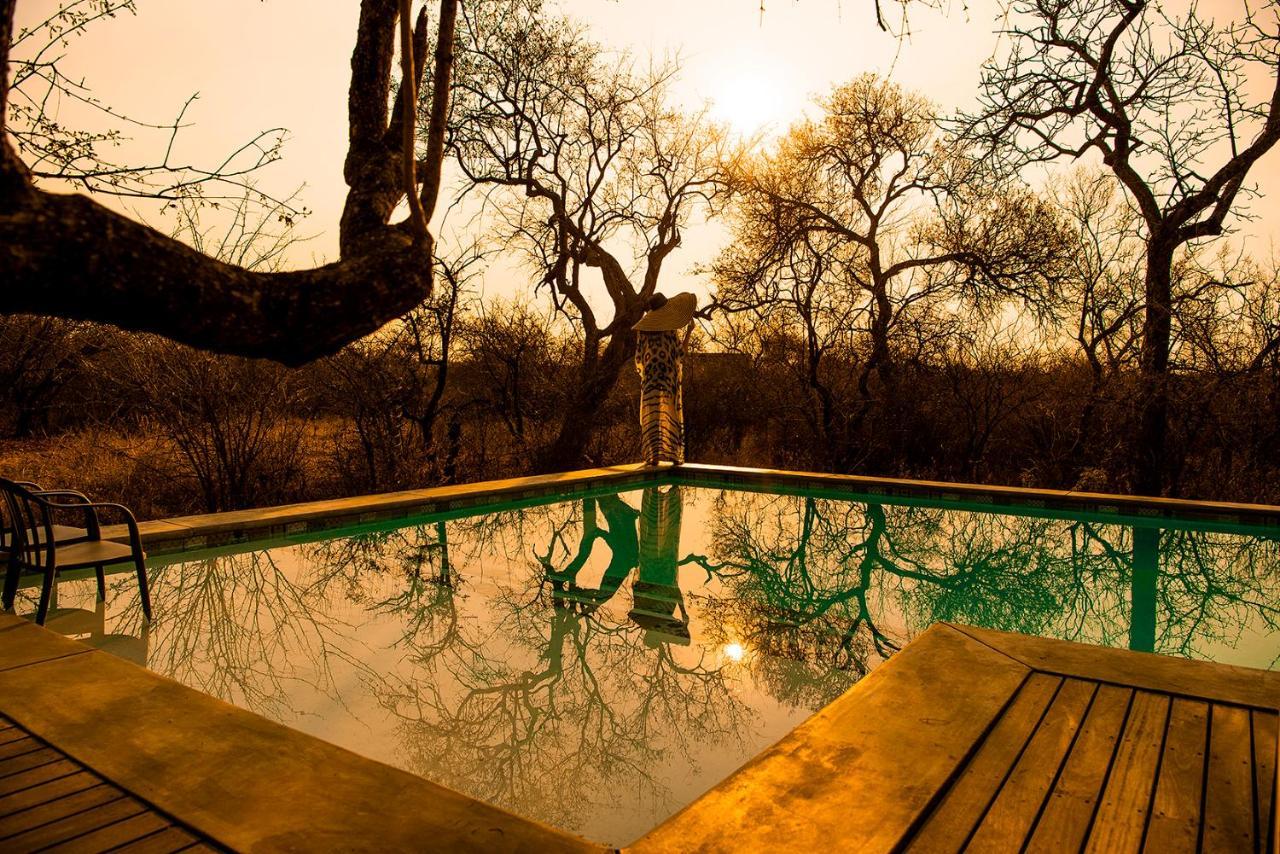 Safari Moon Luxury Bush Lodge 侯斯普瑞特 外观 照片