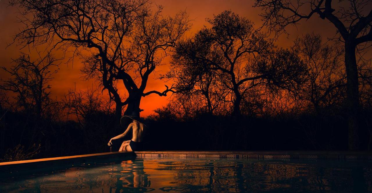 Safari Moon Luxury Bush Lodge 侯斯普瑞特 外观 照片