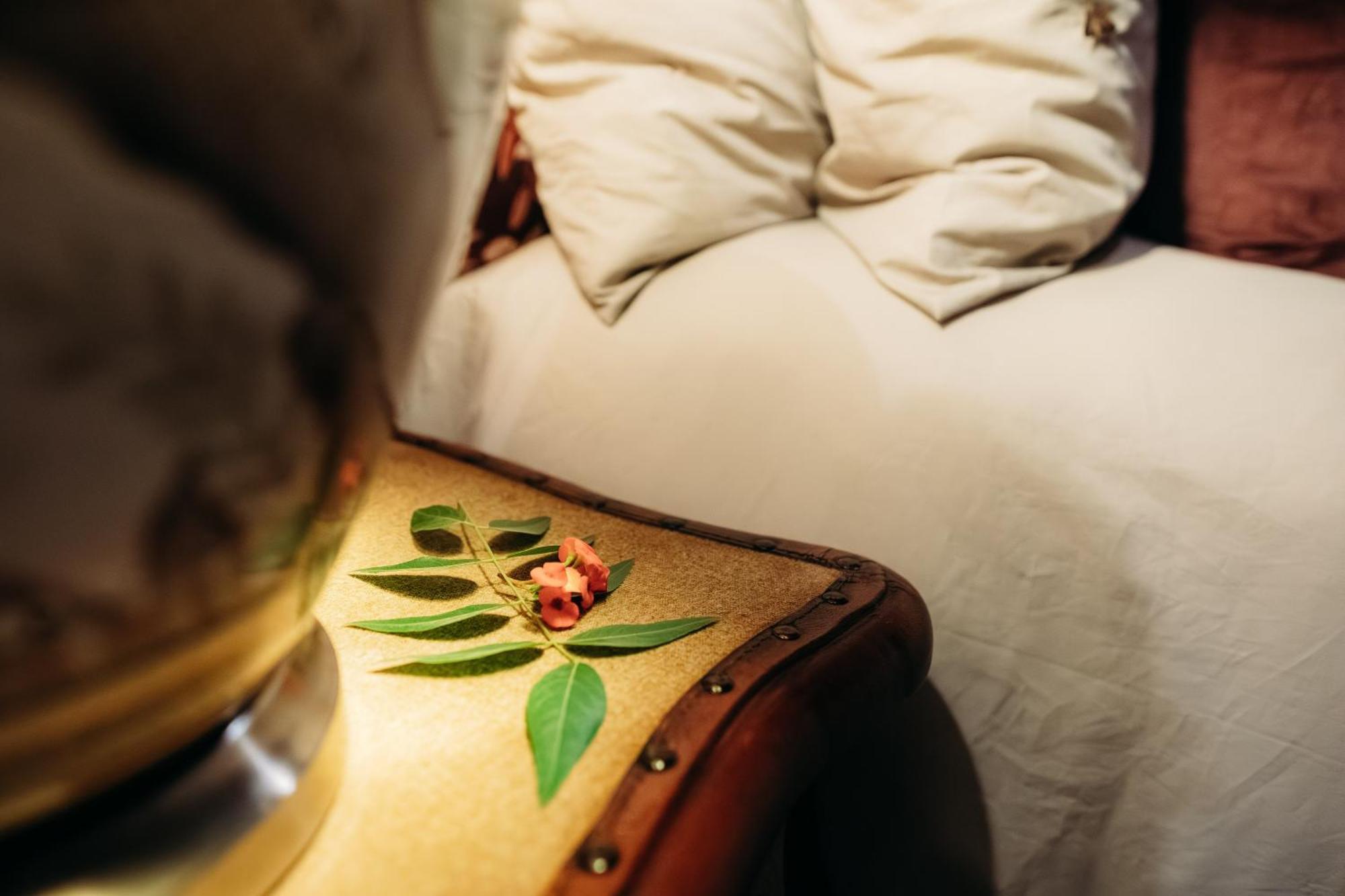 Safari Moon Luxury Bush Lodge 侯斯普瑞特 外观 照片